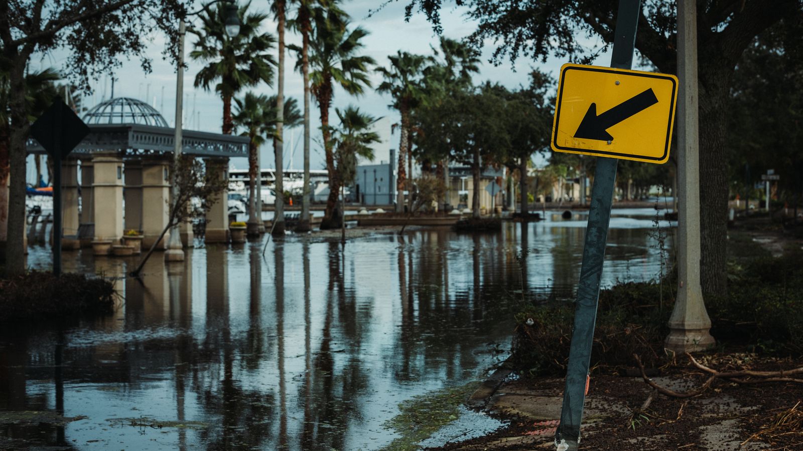 A Gulf-coast street under standing floodwater lined with palms and live oaks